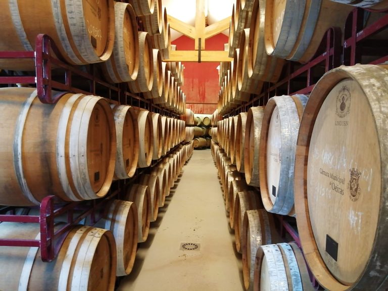 Carcavelos – Portugals glemte hedvin kæmper for sin overlevelse