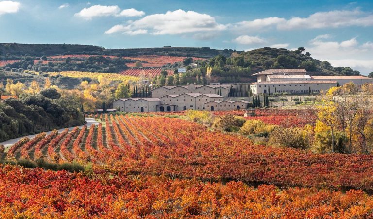 Frokost med Marqués de Murrieta