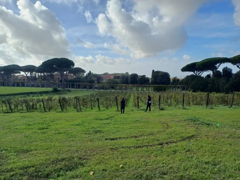 Pavens første vin er klar: 5.000 flasker fra Borgo Laudato Si