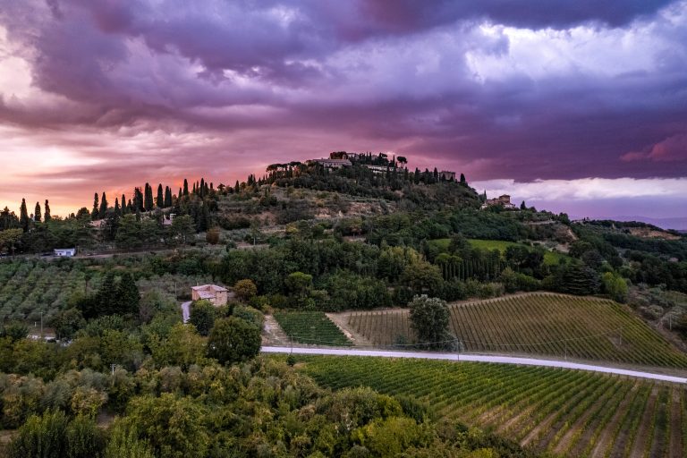 De nye årgange fra Vino Nobile di Montepulciano